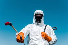 Best Residential Pest Control  in Rouses Point, NY